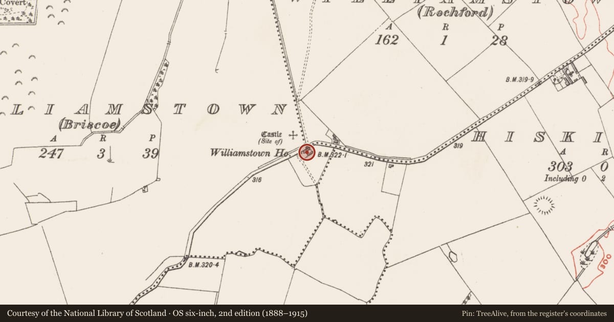 Ordnance Survey six-inch map, 2nd edition (1888–1915) covering the location of Stone head (present location), Williamstown (Briscoe), County Westmeath, with a pin at the register's coordinates