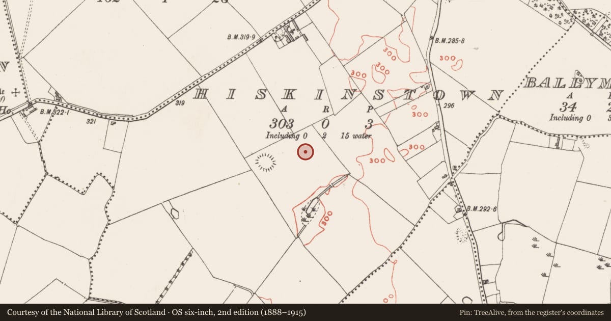 Ordnance Survey six-inch map, 2nd edition (1888–1915) covering the location of Castle - unclassified, Hiskinstown, County Westmeath, with a pin at the register's coordinates