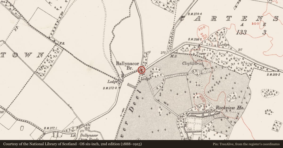 Ordnance Survey six-inch map, 2nd edition (1888–1915) covering the location of Bridge, Ballynacor, County Westmeath, with a pin at the register's coordinates
