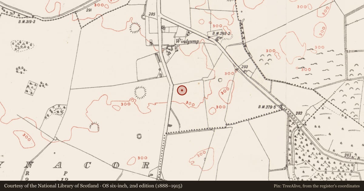 Ordnance Survey six-inch map, 2nd edition (1888–1915) covering the location of Earthwork, Ballynacor, County Westmeath, with a pin at the register's coordinates