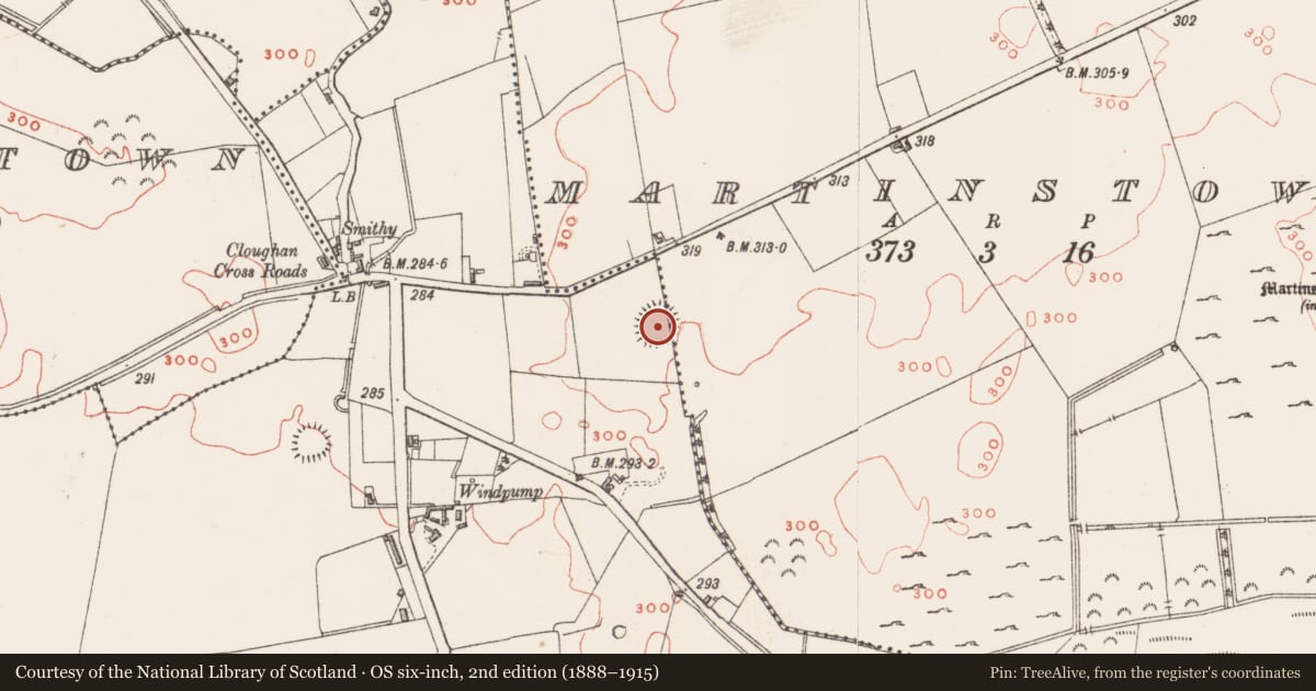 Ordnance Survey six-inch map, 2nd edition (1888–1915) covering the location of Ringfort - rath, Ballynacor, Martinstown, County Westmeath, with a pin at the register's coordinates
