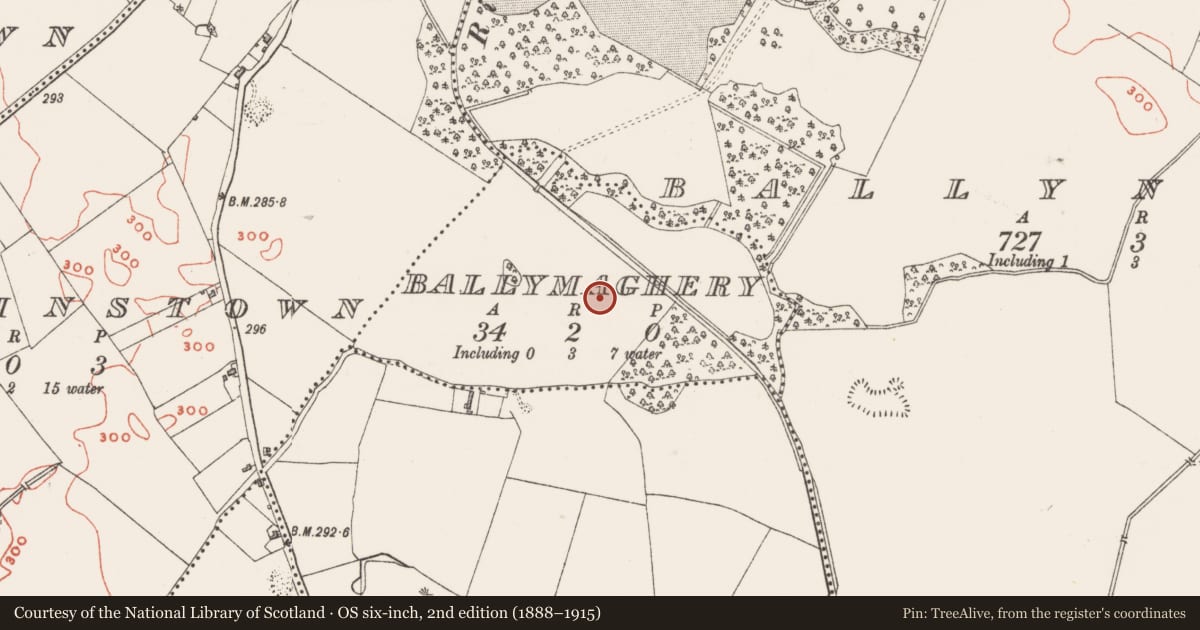 Ordnance Survey six-inch map, 2nd edition (1888–1915) covering the location of Ringfort - unclassified, Ballymaghery, County Westmeath, with a pin at the register's coordinates