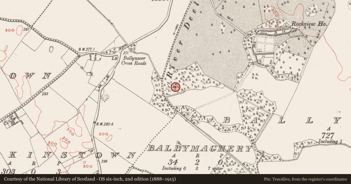 Ordnance Survey six-inch map, 2nd edition (1888–1915) covering the location of Ringfort - rath, Ballynacor, County Westmeath, with a pin at the register's coordinates