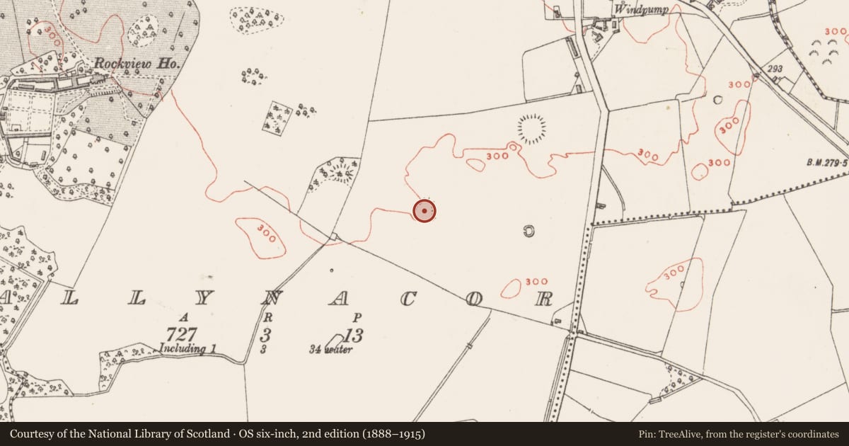 Ordnance Survey six-inch map, 2nd edition (1888–1915) covering the location of Ringfort - rath, Ballynacor, County Westmeath, with a pin at the register's coordinates