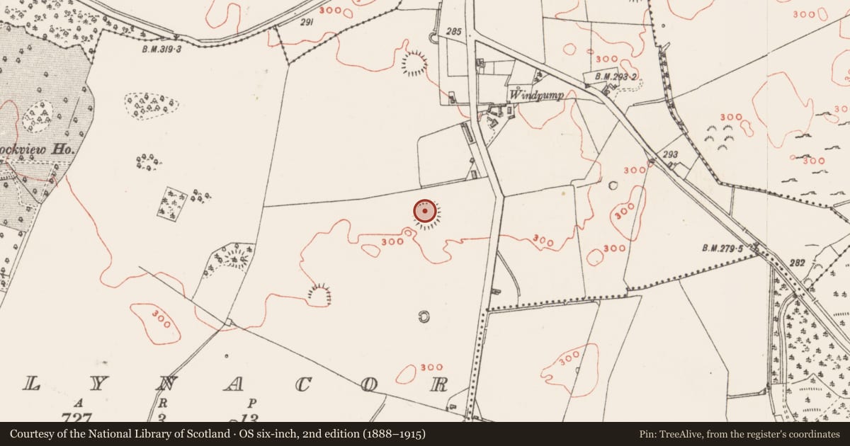 Ordnance Survey six-inch map, 2nd edition (1888–1915) covering the location of Ringfort - rath, Ballynacor, County Westmeath, with a pin at the register's coordinates