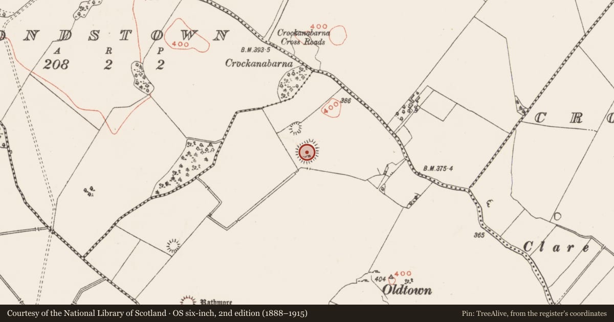 Ordnance Survey six-inch map, 2nd edition (1888–1915) covering the location of Ringfort - rath, Tevrin, County Westmeath, with a pin at the register's coordinates