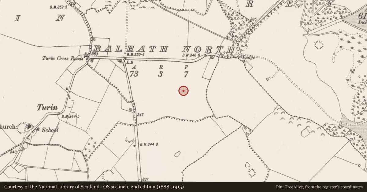 Ordnance Survey six-inch map, 2nd edition (1888–1915) covering the location of Standing stone, Balrath North, County Westmeath, with a pin at the register's coordinates