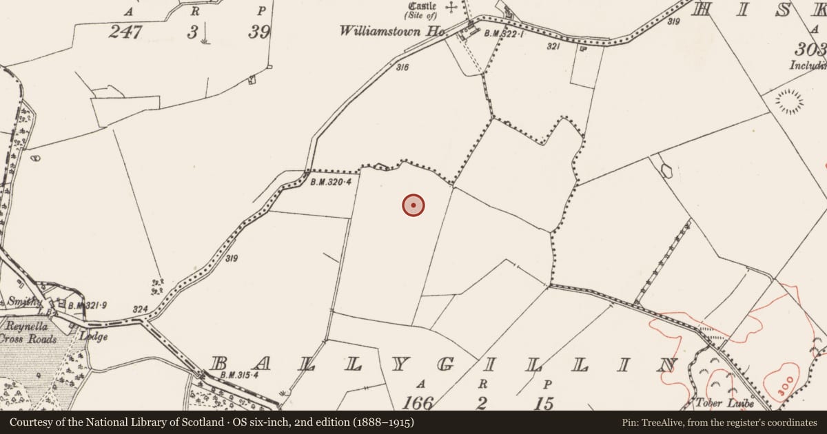 Ordnance Survey six-inch map, 2nd edition (1888–1915) covering the location of Enclosure, Ballygillin, County Westmeath, with a pin at the register's coordinates