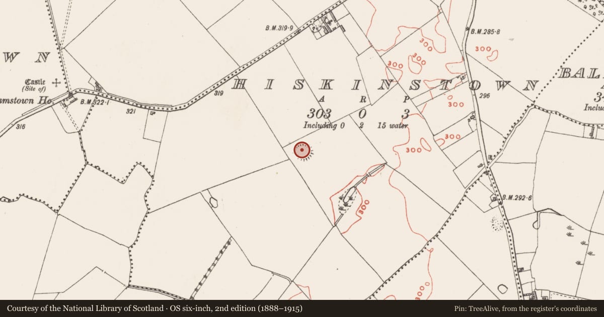 Ordnance Survey six-inch map, 2nd edition (1888–1915) covering the location of Ringfort - rath, Hiskinstown, County Westmeath, with a pin at the register's coordinates