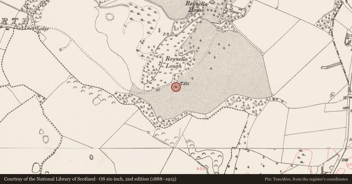 Ordnance Survey six-inch map, 2nd edition (1888–1915) covering the location of Ringfort - rath, Reynella, County Westmeath, with a pin at the register's coordinates