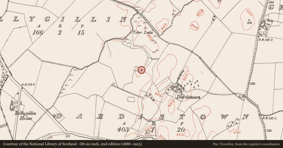 Ordnance Survey six-inch map, 2nd edition (1888–1915) covering the location of Church, Dardistown, County Westmeath, with a pin at the register's coordinates