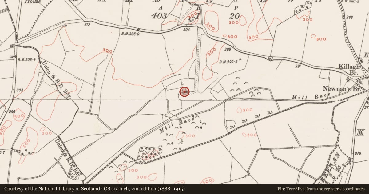 Ordnance Survey six-inch map, 2nd edition (1888–1915) covering the location of Castle - unclassified, Dardistown, County Westmeath, with a pin at the register's coordinates