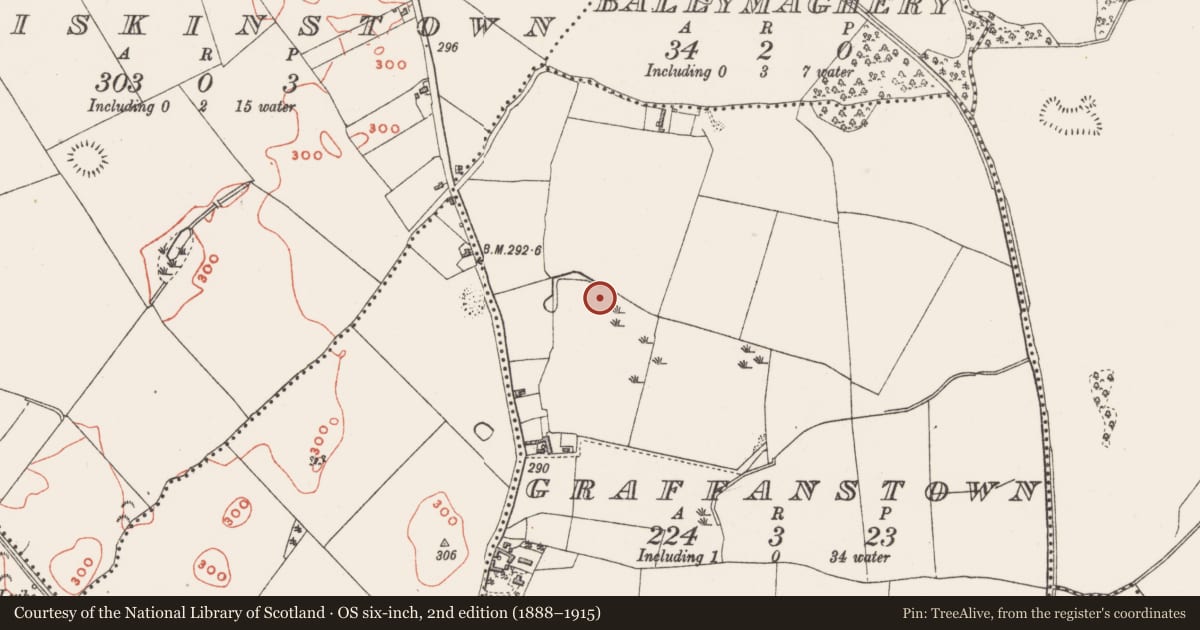 Ordnance Survey six-inch map, 2nd edition (1888–1915) covering the location of Barrow - bowl-barrow, Graffanstown, County Westmeath, with a pin at the register's coordinates