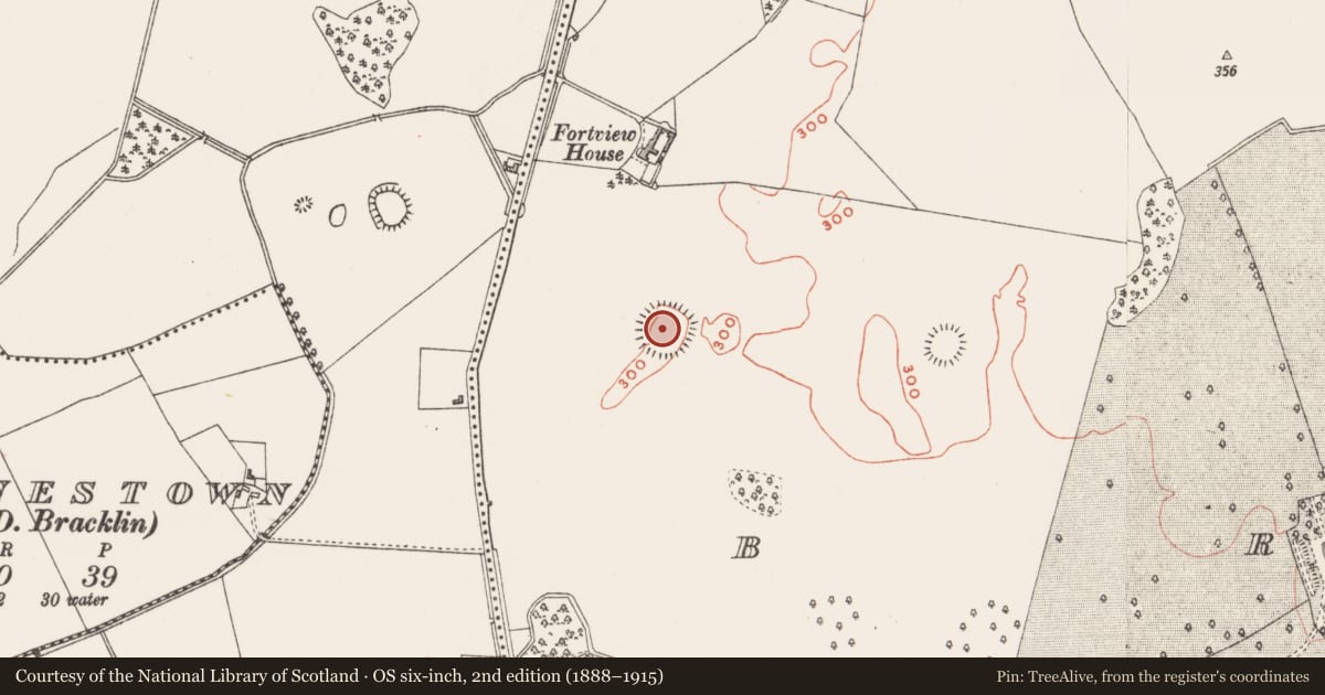 Ordnance Survey six-inch map, 2nd edition (1888–1915) covering the location of Ringfort - rath, Bracklin, County Westmeath, with a pin at the register's coordinates