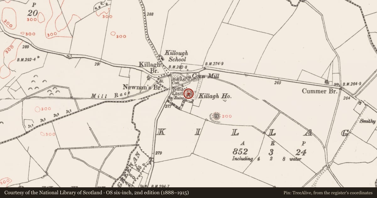 Ordnance Survey six-inch map, 2nd edition (1888–1915) covering the location of Castle - tower house, Killagh, County Westmeath, with a pin at the register's coordinates