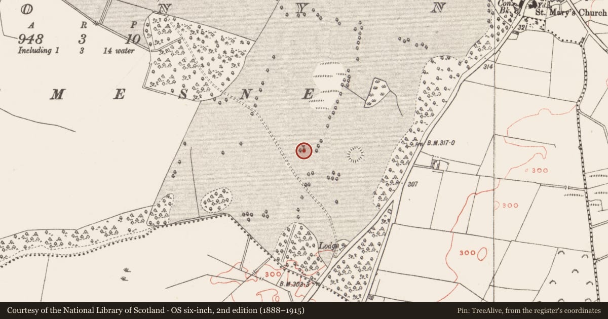 Ordnance Survey six-inch map, 2nd edition (1888–1915) covering the location of Ringfort - rath, Clonyn, County Westmeath, with a pin at the register's coordinates
