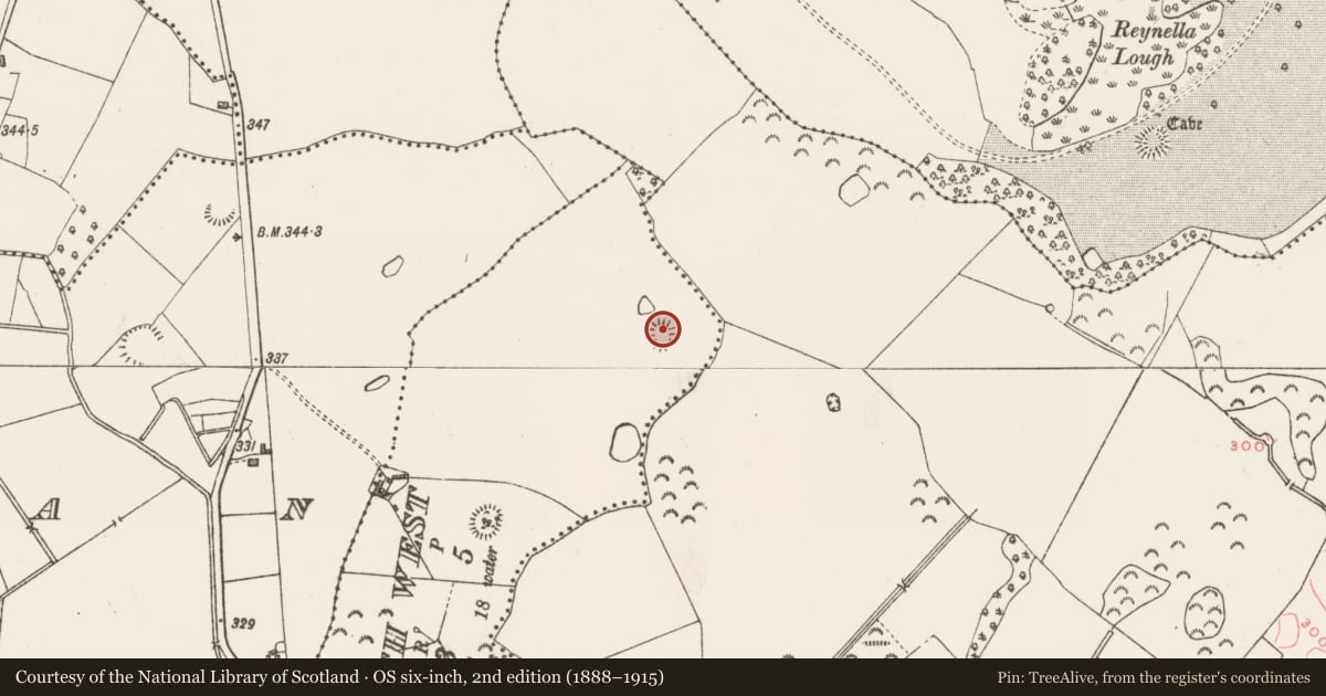 Ordnance Survey six-inch map, 2nd edition (1888–1915) covering the location of Earthwork, Balrath West, County Westmeath, with a pin at the register's coordinates
