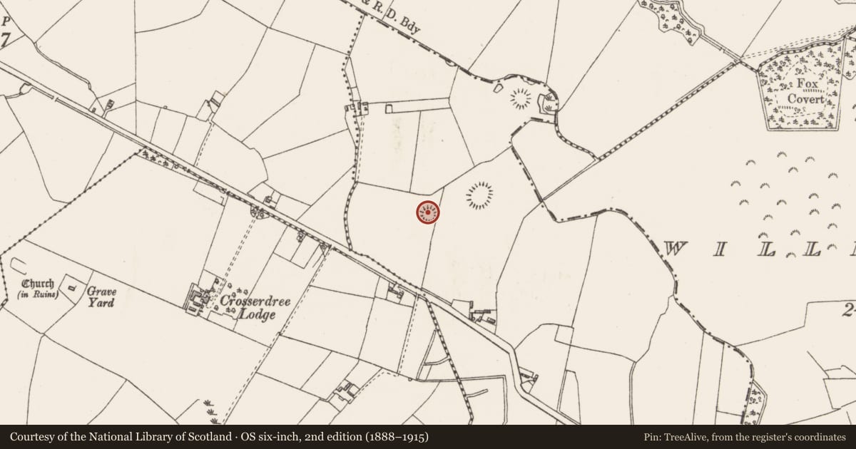 Ordnance Survey six-inch map, 2nd edition (1888–1915) covering the location of Earthwork, Reynella, County Westmeath, with a pin at the register's coordinates