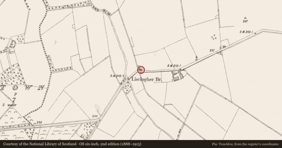 Ordnance Survey six-inch map, 2nd edition (1888–1915) covering the location of Earthwork, Lisclogher Great, County Westmeath, with a pin at the register's coordinates