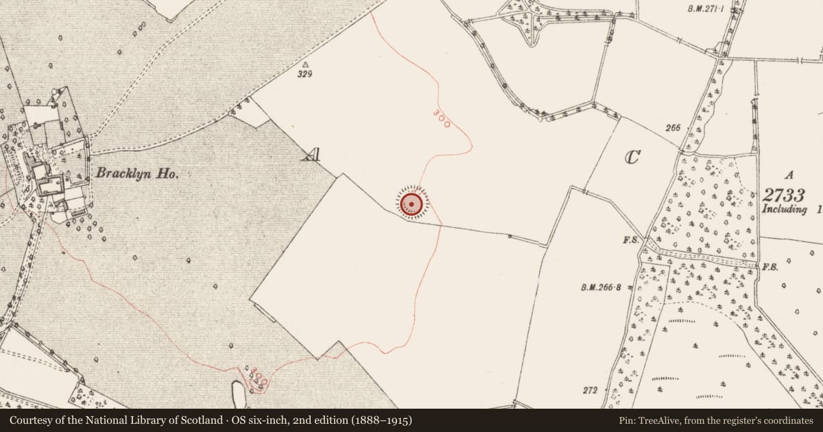 Ordnance Survey six-inch map, 2nd edition (1888–1915) covering the location of Ringfort - rath, Bracklin, County Westmeath, with a pin at the register's coordinates