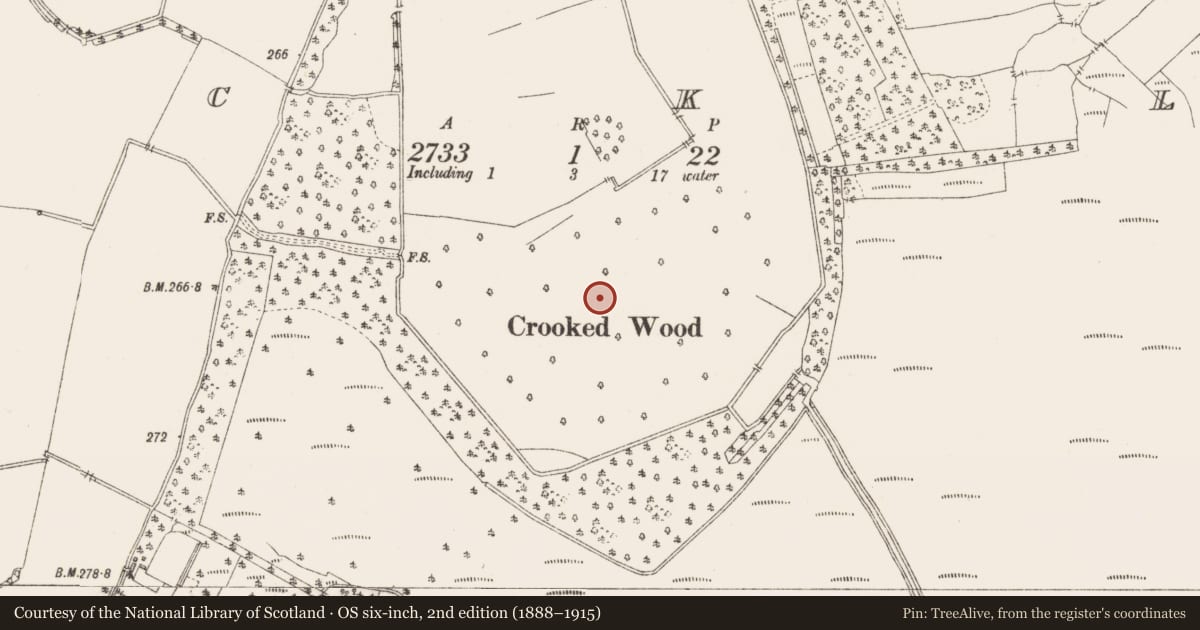 Ordnance Survey six-inch map, 2nd edition (1888–1915) covering the location of Field system, Bracklin, County Westmeath, with a pin at the register's coordinates