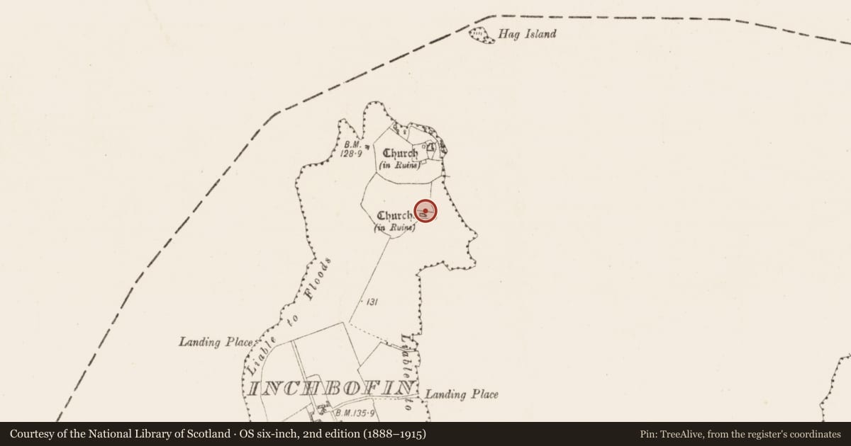 Ordnance Survey six-inch map, 2nd edition (1888–1915) covering the location of Church, Inchbofin, County Westmeath, with a pin at the register's coordinates