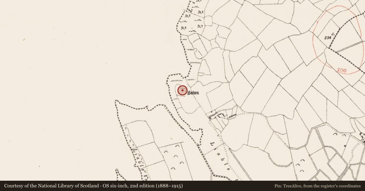 Ordnance Survey six-inch map, 2nd edition (1888–1915) covering the location of Bawn, Muckanagh, County Westmeath, with a pin at the register's coordinates