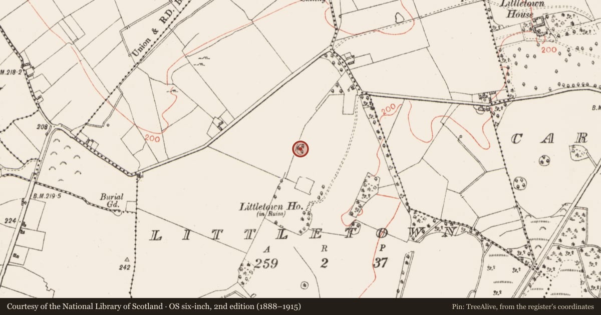 Ordnance Survey six-inch map, 2nd edition (1888–1915) covering the location of Ringfort - rath, Littletown, County Westmeath, with a pin at the register's coordinates