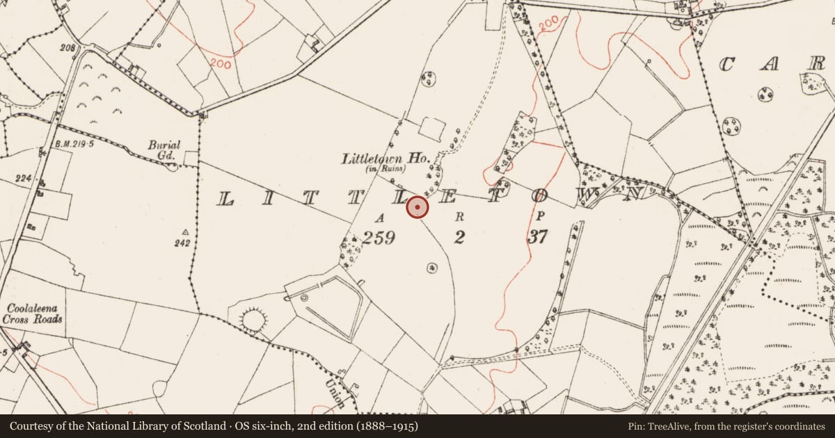 Ordnance Survey six-inch map, 2nd edition (1888–1915) covering the location of Castle - unclassified, Littletown, County Westmeath, with a pin at the register's coordinates