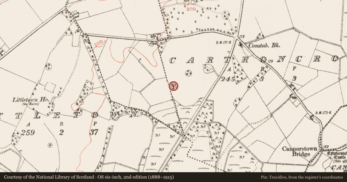 Ordnance Survey six-inch map, 2nd edition (1888–1915) covering the location of Ringfort - rath, Cartroncroy, County Westmeath, with a pin at the register's coordinates