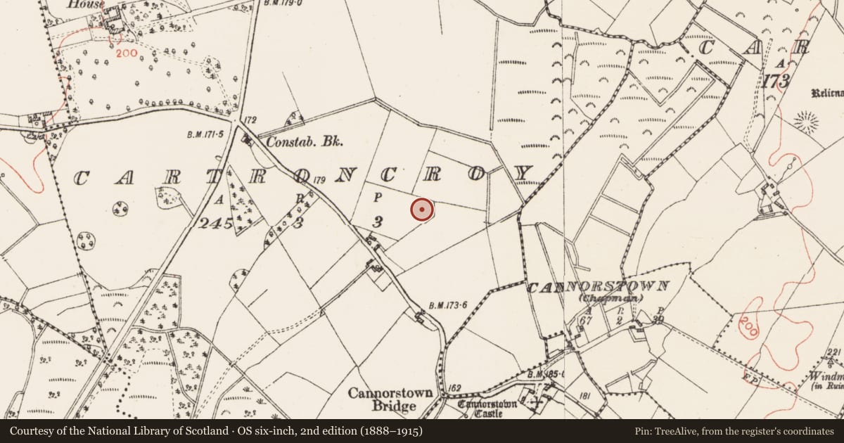 Ordnance Survey six-inch map, 2nd edition (1888–1915) covering the location of Ringfort - rath, Cartroncroy, County Westmeath, with a pin at the register's coordinates