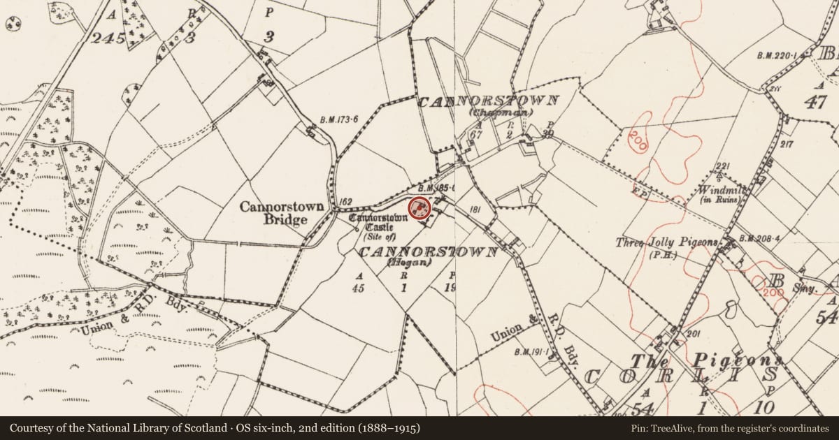 Ordnance Survey six-inch map, 2nd edition (1888–1915) covering the location of Bawn, Cannorstown (Hogan), County Westmeath, with a pin at the register's coordinates