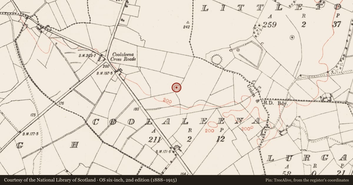 Ordnance Survey six-inch map, 2nd edition (1888–1915) covering the location of Ringfort - rath, Coolaleena, County Westmeath, with a pin at the register's coordinates