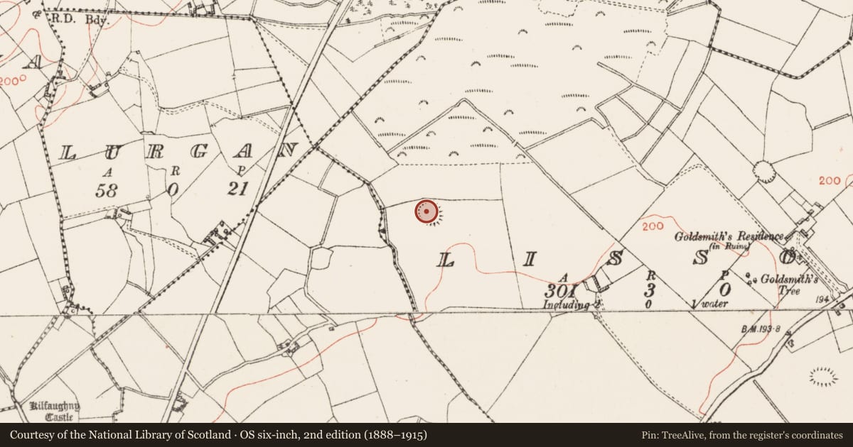 Ordnance Survey six-inch map, 2nd edition (1888–1915) covering the location of Ringfort - rath, Lissoy, County Westmeath, with a pin at the register's coordinates