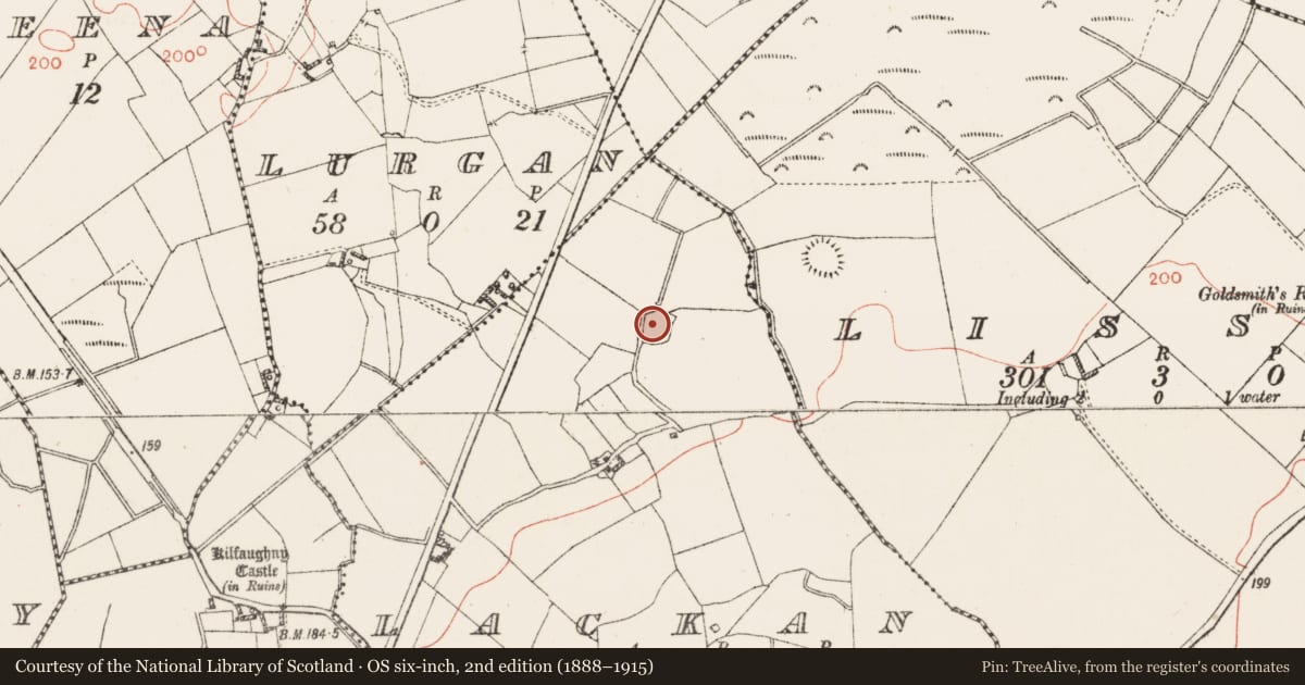 Ordnance Survey six-inch map, 2nd edition (1888–1915) covering the location of Ringfort - rath, Lackan, County Westmeath, with a pin at the register's coordinates