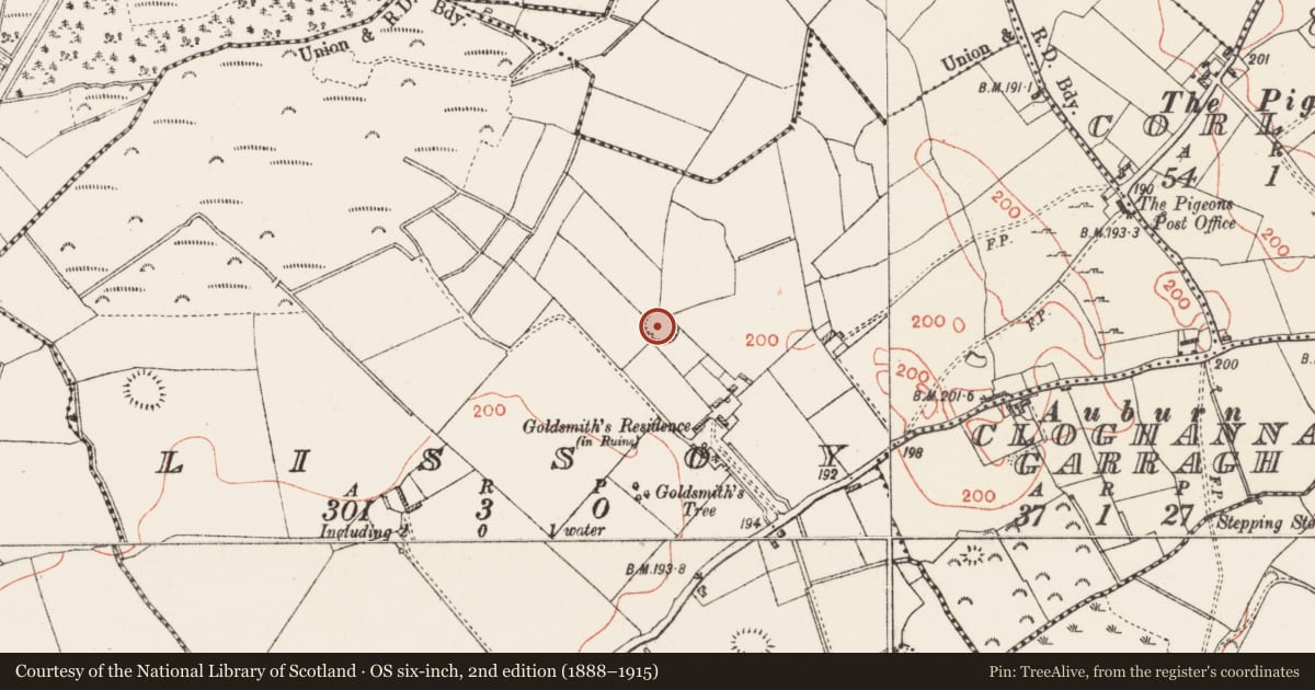 Ordnance Survey six-inch map, 2nd edition (1888–1915) covering the location of Ringfort - rath, Lissoy, County Westmeath, with a pin at the register's coordinates