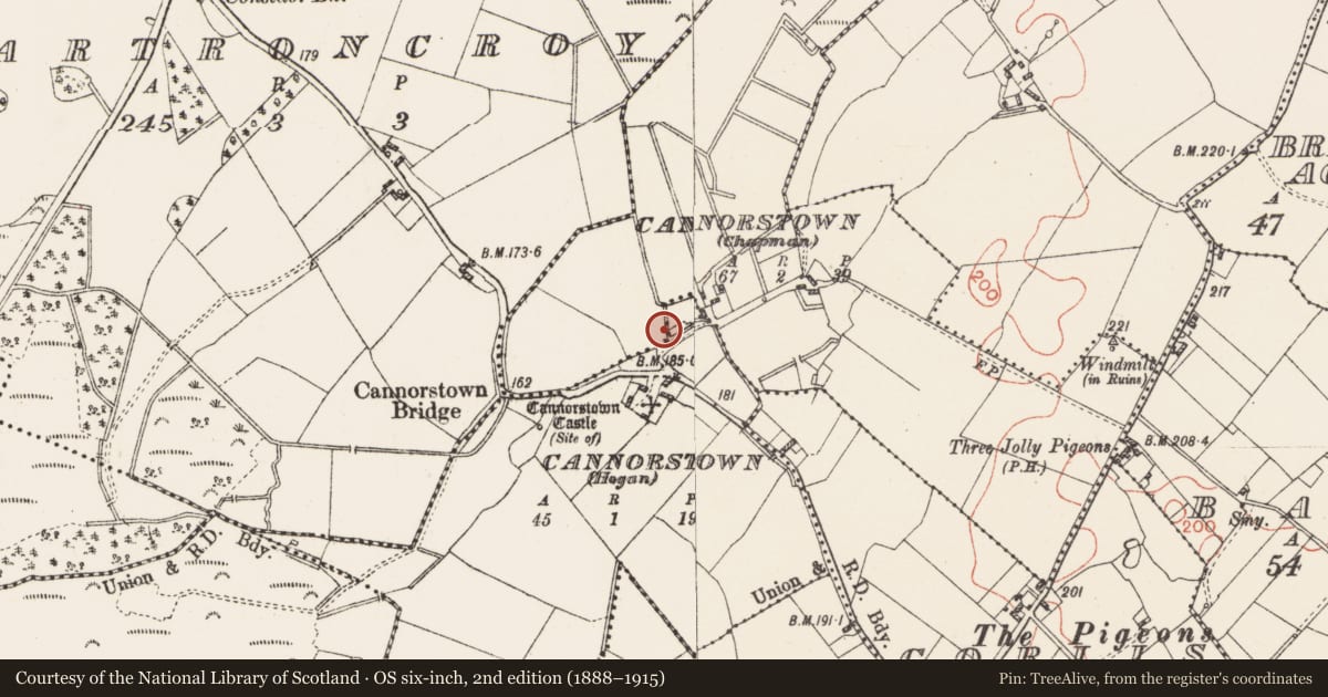 Ordnance Survey six-inch map, 2nd edition (1888–1915) covering the location of Mill - unclassified, Cannorstown (Chapman), Cannorstown (Hogan), County Westmeath, with a pin at the register's coordinates