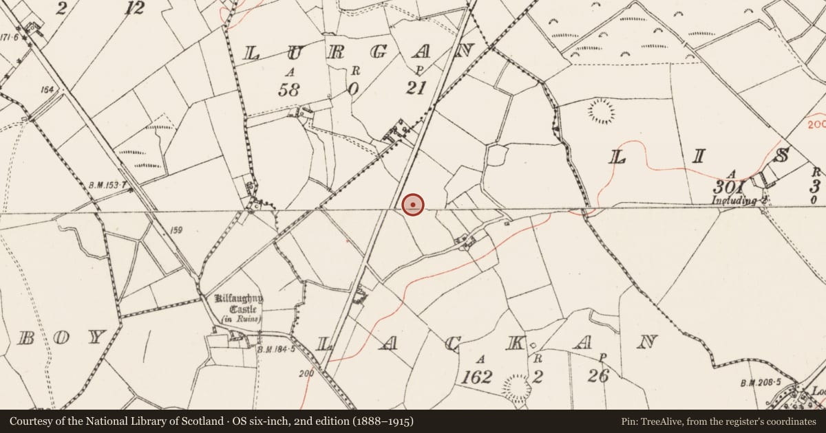 Ordnance Survey six-inch map, 2nd edition (1888–1915) covering the location of Ringfort - unclassified, Lackan, County Westmeath, with a pin at the register's coordinates