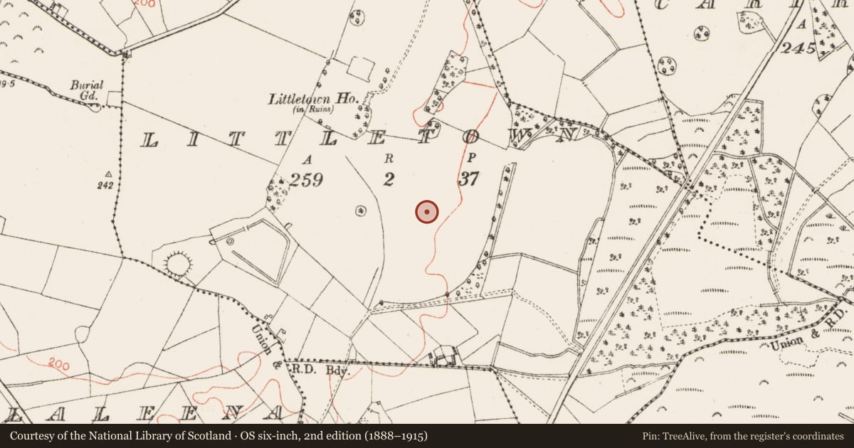 Ordnance Survey six-inch map, 2nd edition (1888–1915) covering the location of Ringfort - unclassified, Littletown, County Westmeath, with a pin at the register's coordinates
