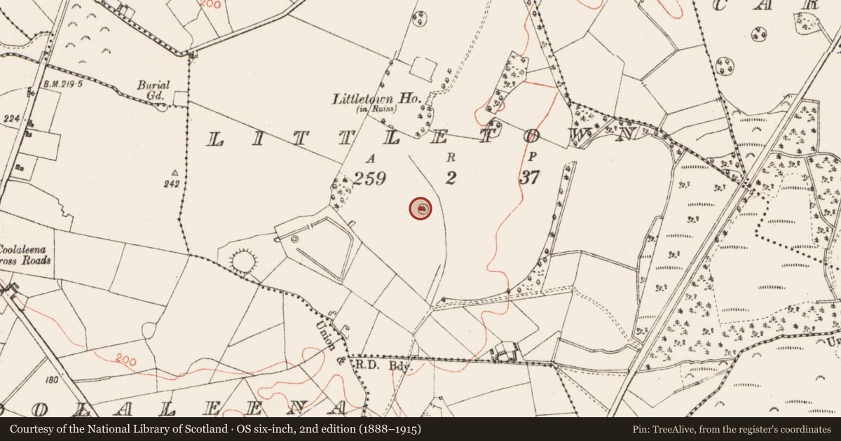 Ordnance Survey six-inch map, 2nd edition (1888–1915) covering the location of Designed landscape - tree-ring, Littletown, County Westmeath, with a pin at the register's coordinates
