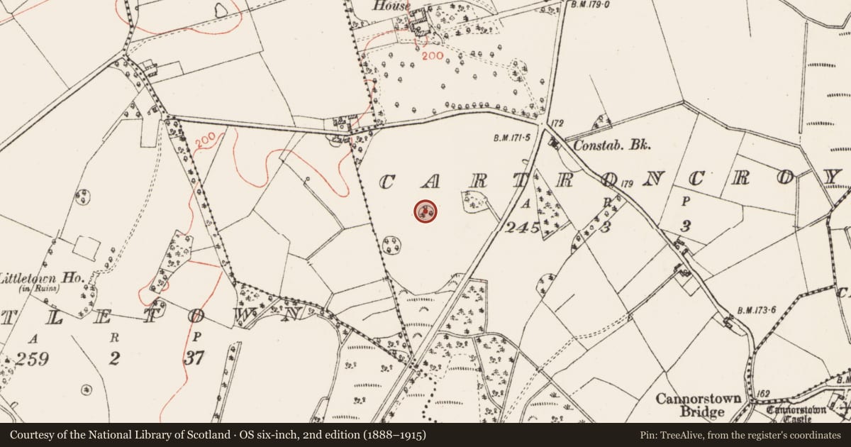 Ordnance Survey six-inch map, 2nd edition (1888–1915) covering the location of Designed landscape - tree-ring, Cartroncroy, County Westmeath, with a pin at the register's coordinates