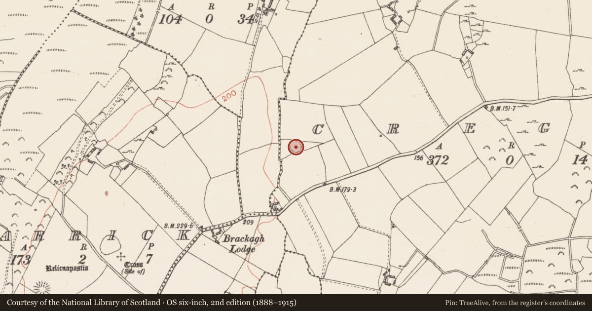 Ordnance Survey six-inch map, 2nd edition (1888–1915) covering the location of Ringfort - rath, Creggy, County Westmeath, with a pin at the register's coordinates