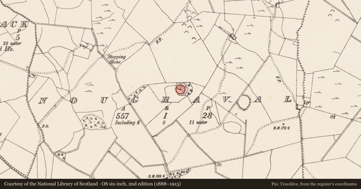 Ordnance Survey six-inch map, 2nd edition (1888–1915) covering the location of Ringfort - rath, Noughaval, County Westmeath, with a pin at the register's coordinates