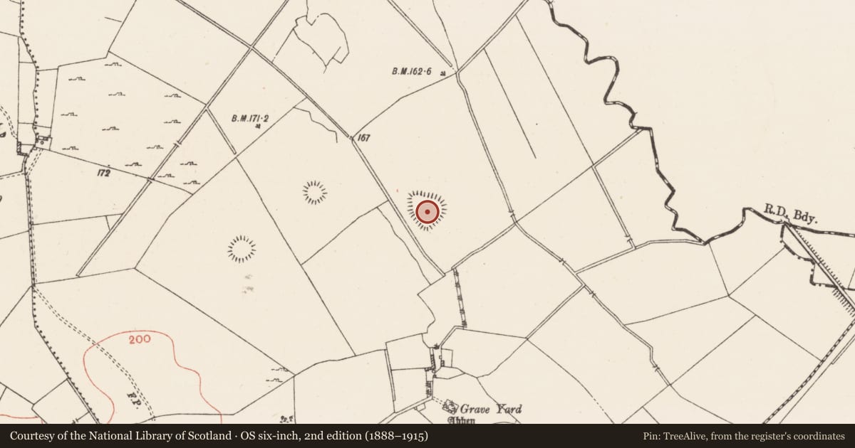 Ordnance Survey six-inch map, 2nd edition (1888–1915) covering the location of Ringfort - unclassified, Ardnacrany North, County Westmeath, with a pin at the register's coordinates