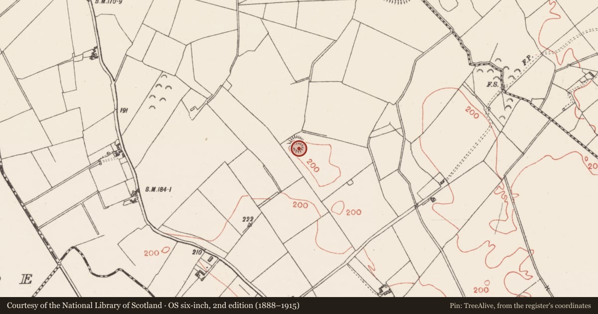 Ordnance Survey six-inch map, 2nd edition (1888–1915) covering the location of Ringfort - rath, Calliaghstown, County Westmeath, with a pin at the register's coordinates