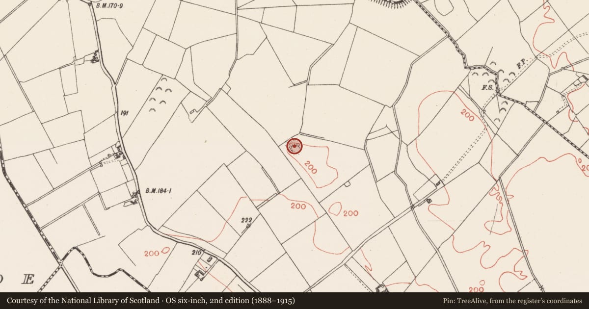 Ordnance Survey six-inch map, 2nd edition (1888–1915) covering the location of Souterrain, Calliaghstown, County Westmeath, with a pin at the register's coordinates