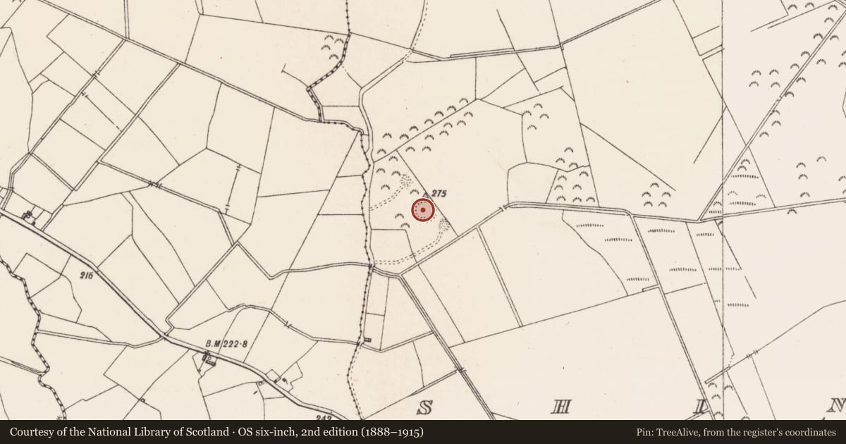 Ordnance Survey six-inch map, 2nd edition (1888–1915) covering the location of Ringfort - rath, Shinglis, County Westmeath, with a pin at the register's coordinates