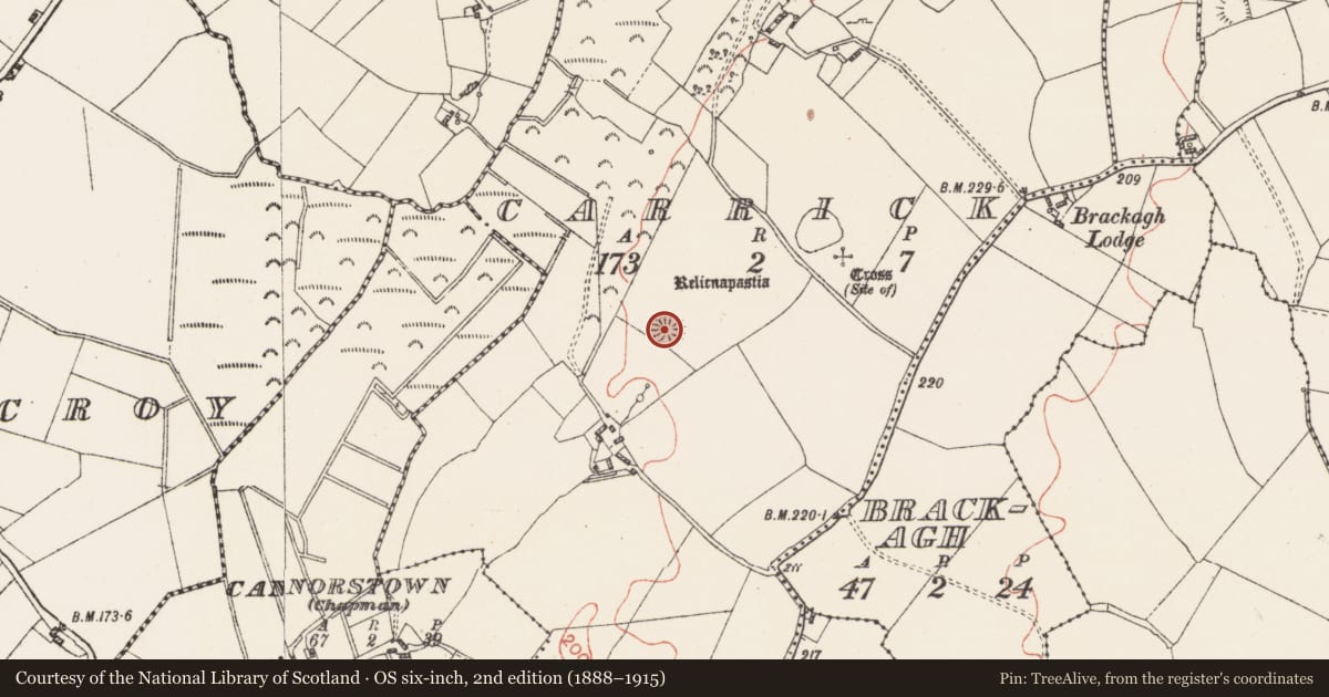 Ordnance Survey six-inch map, 2nd edition (1888–1915) covering the location of Ringfort - rath, Carrick, County Westmeath, with a pin at the register's coordinates