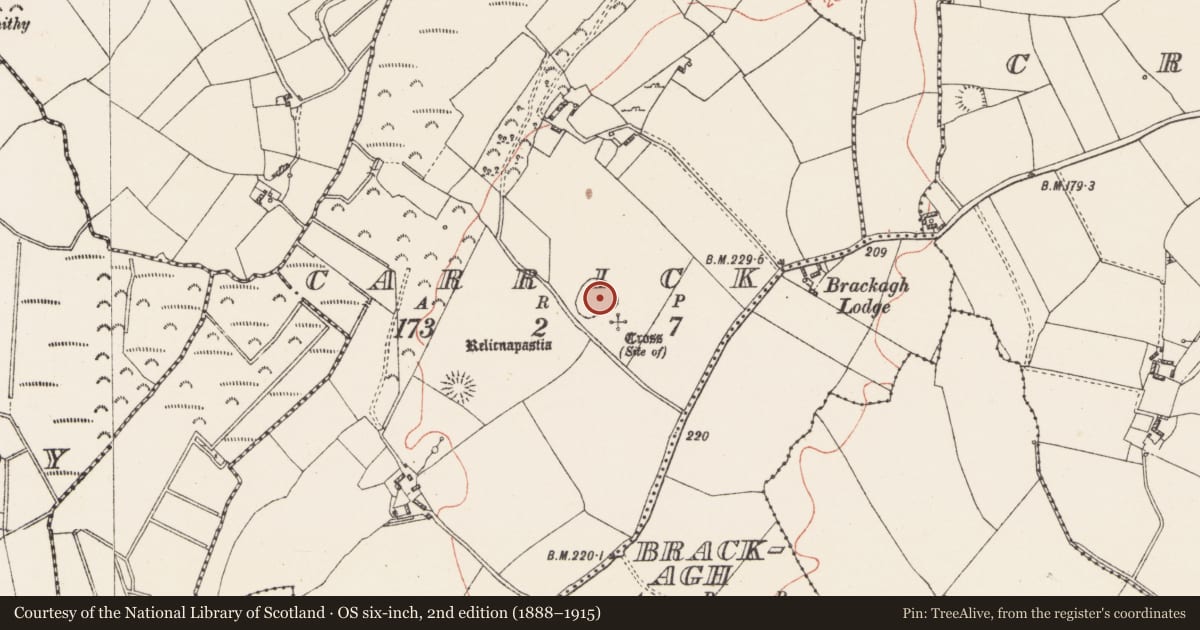 Ordnance Survey six-inch map, 2nd edition (1888–1915) covering the location of Children's burial ground, Carrick, County Westmeath, with a pin at the register's coordinates