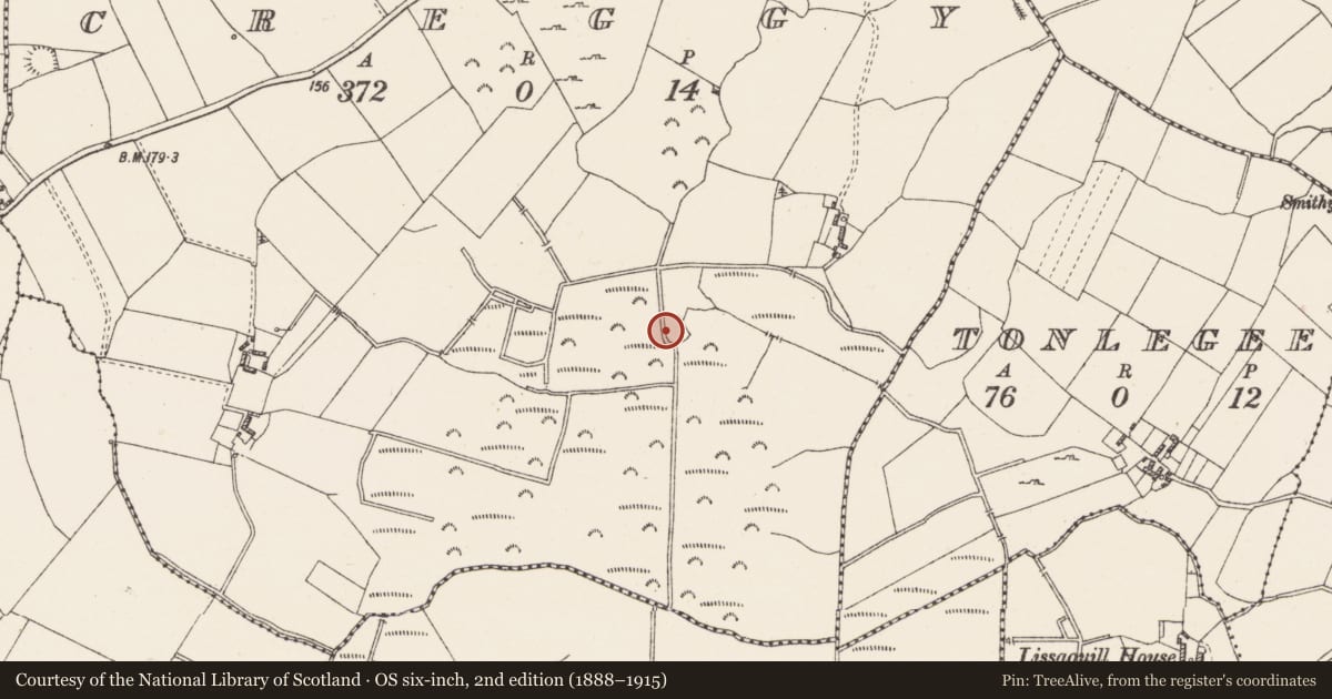 Ordnance Survey six-inch map, 2nd edition (1888–1915) covering the location of Enclosure, Creggy, County Westmeath, with a pin at the register's coordinates